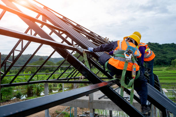 Best Roof Gutter Cleaning  in Experiment, GA